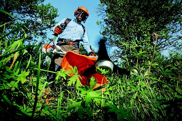 Person wearing protective gear trimming tall grass with a brush cutter outdoors.